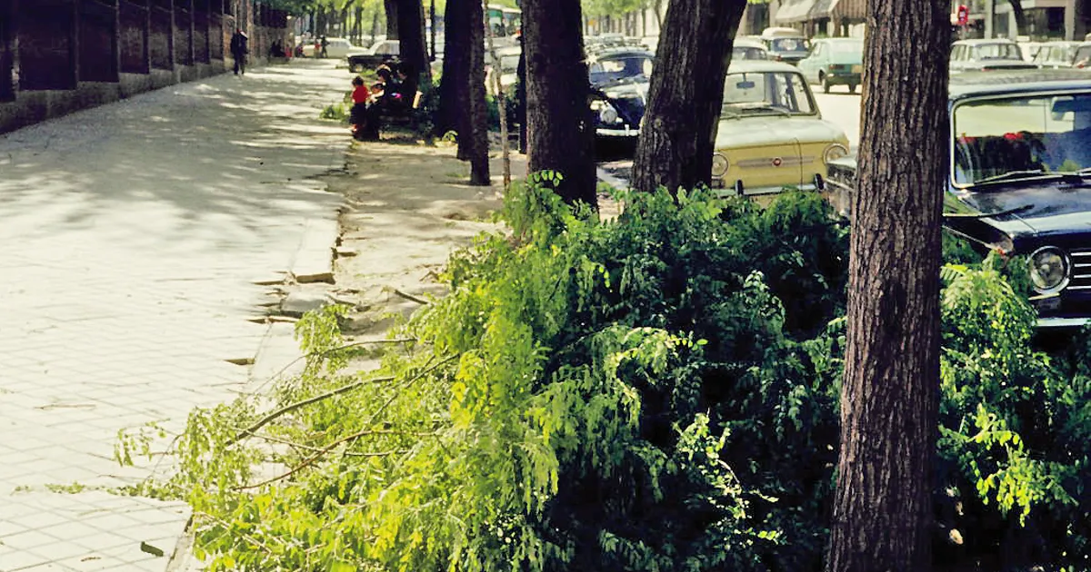 Los mejores barrios de Madrid para vivir en 2026: guía por perfil y presupuesto